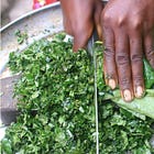 Cozinhar 