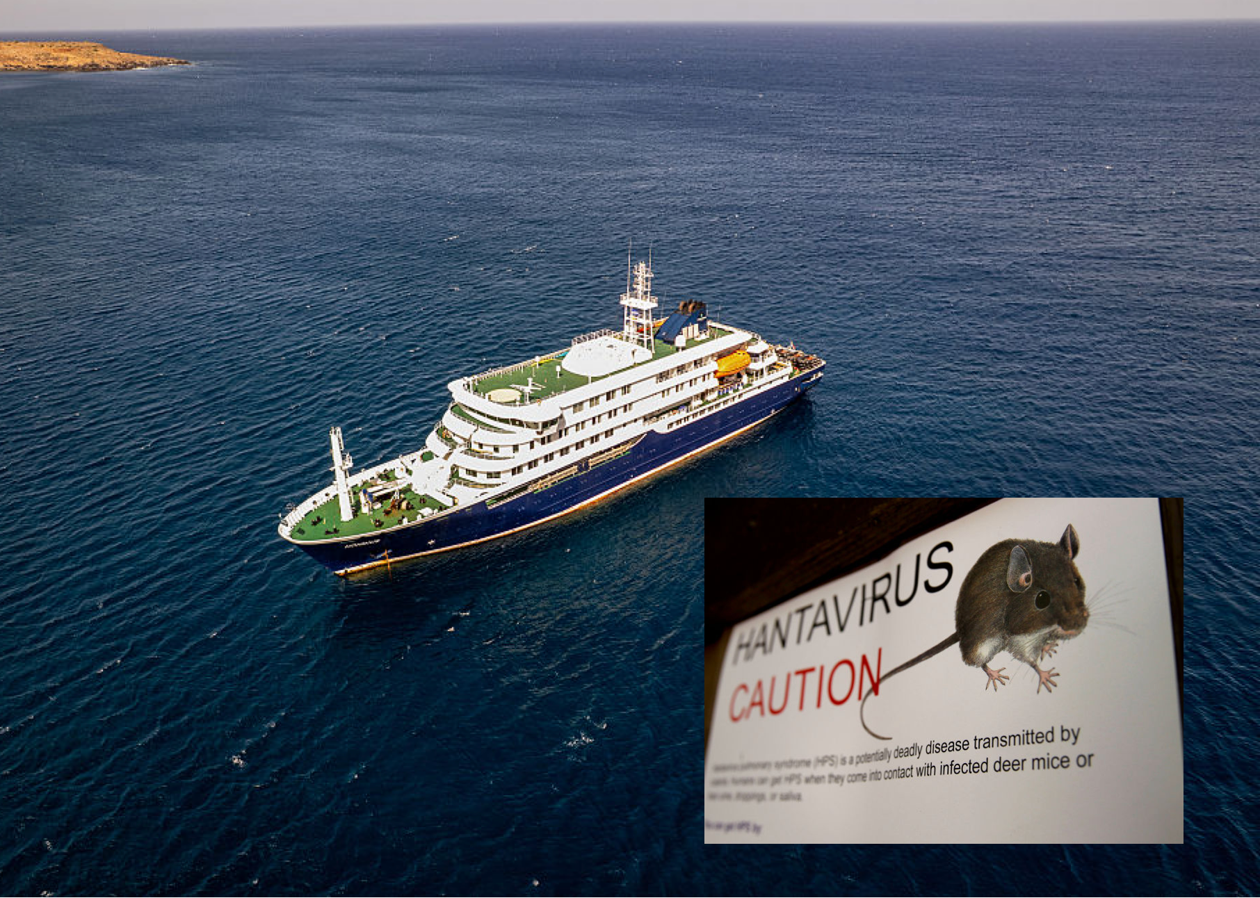 Everything you should know about hantavirus as cruise ship breaks out with same infection implicated in Gene Hackman's passing