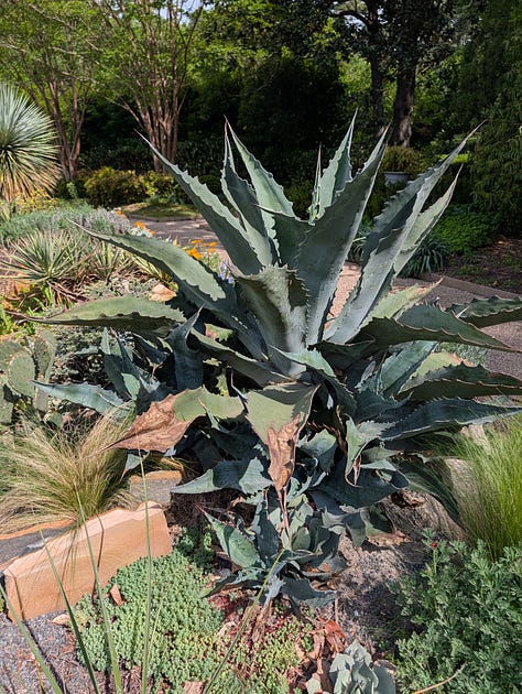 Sarah P Duke Gardens Duke University