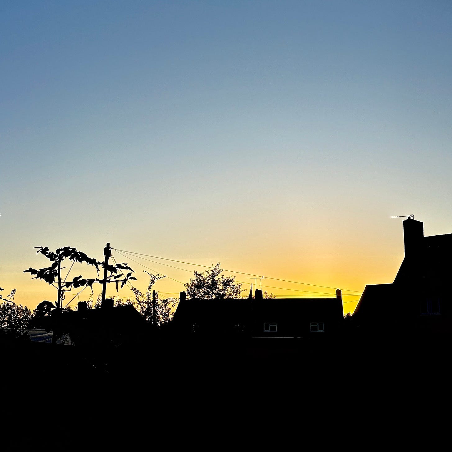 A sunrise sky and silhouette picture, where buildings and young trees are highlighted by the glow of a rising sun.