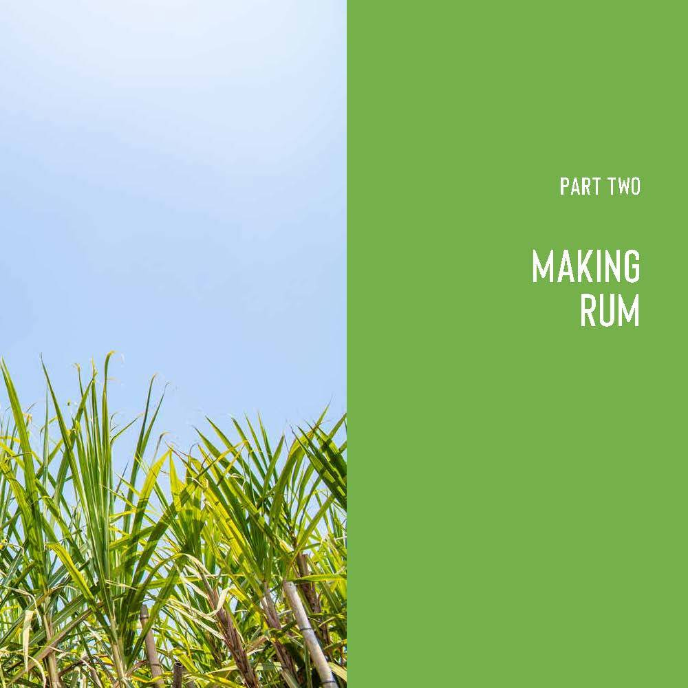 First Look - Inside the Modern Caribbean Rum Book