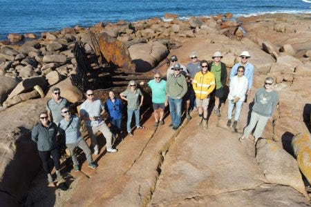 Une équipe de scientifiques décidée à réintroduire le wallaby sur l'île Flinders en Australie