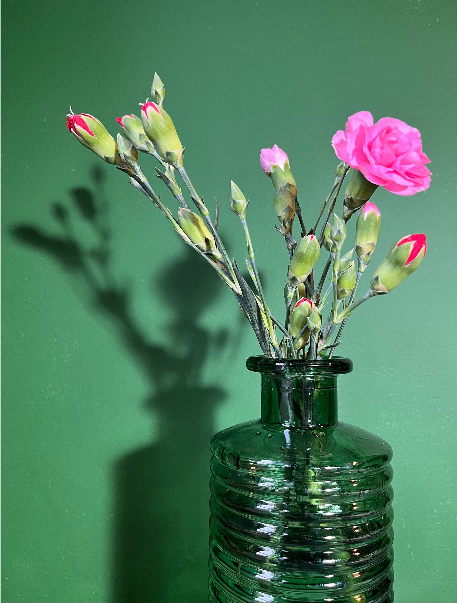 photograph of carnations in a green glass vase 