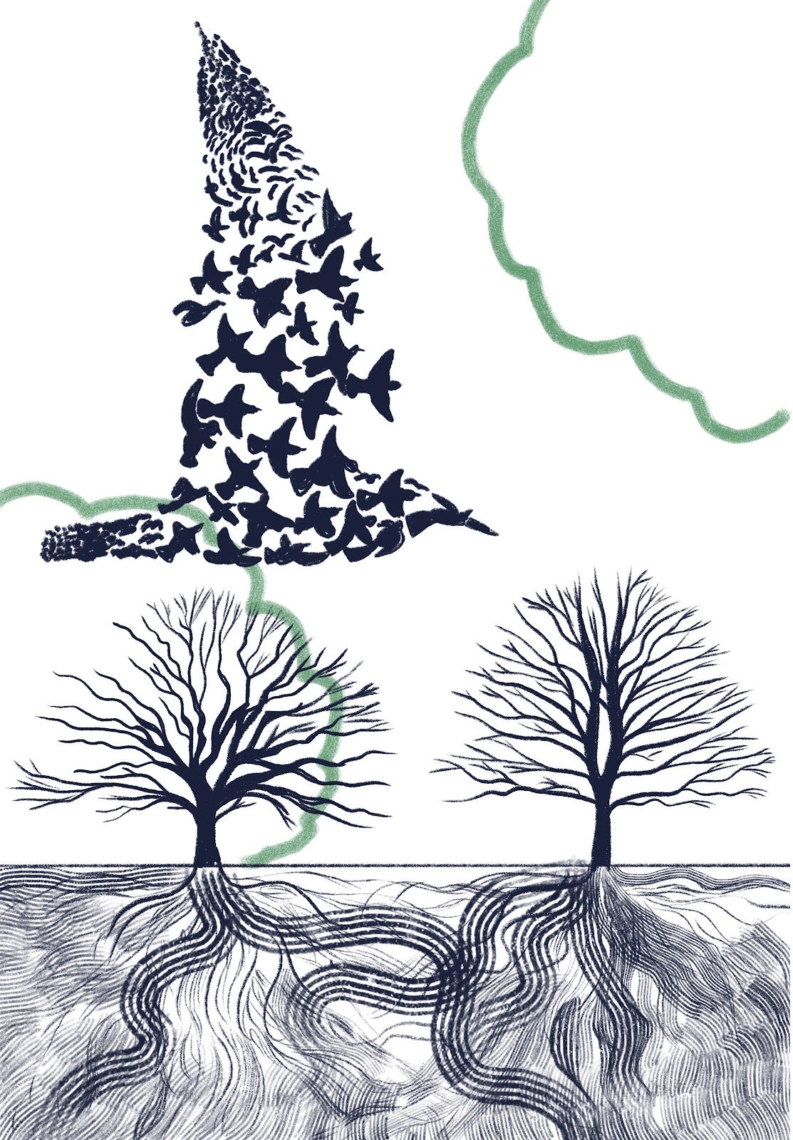 page14image28836880birds and trees