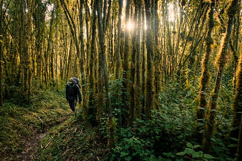Klaus calculating glacier volumes in the Democratic Republic of Congo