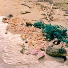 Shellphone Chronicles – What's with the name?