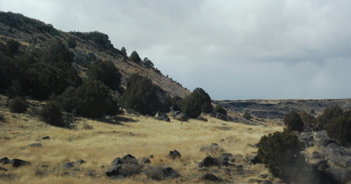 A semi-arid landscape with spotty tree coverage, for an article on how forests aren't always the quick fix to climate change that we like to think they are.