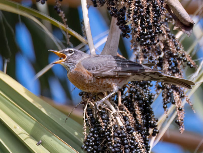 230104-misc-236-Edit.jpg 230104-misc-236-Edit.jpg