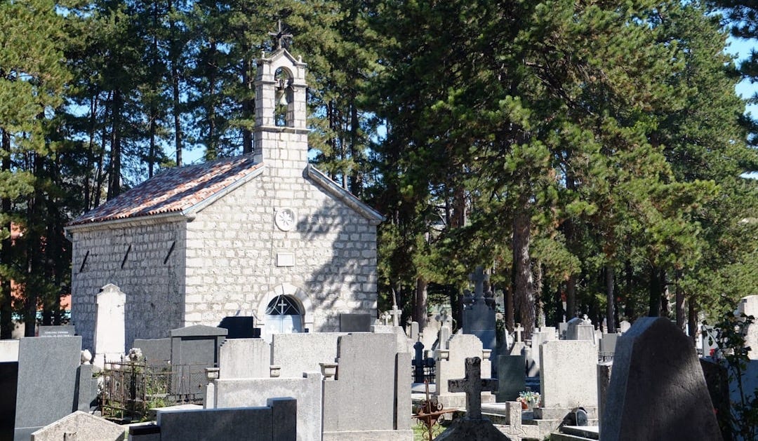 gray concrete cemetery surrounded by green trees gray concrete cemetery surrounded by green trees