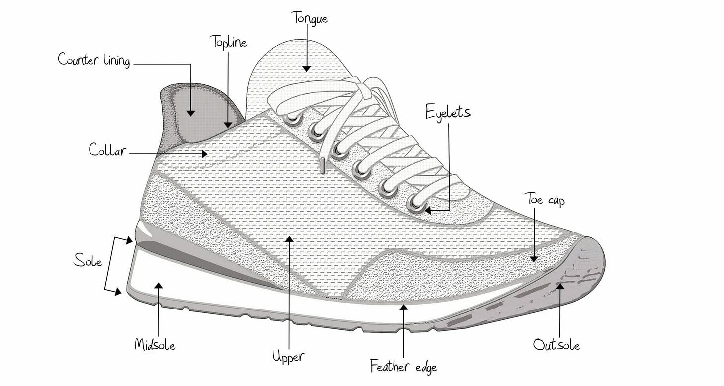 Anatomy of the Shoe