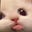 gay and angry's avatar