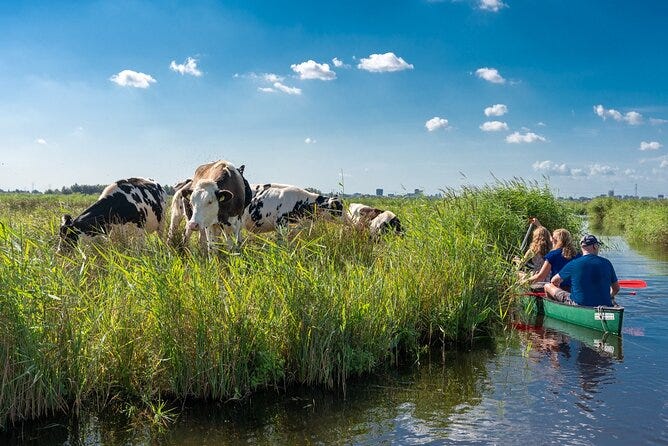 Guided Canoe Adventure with Picnic Lunch in Waterland from Amsterdam Guided Canoe Adventure with Picnic Lunch in Waterland from Amsterdam