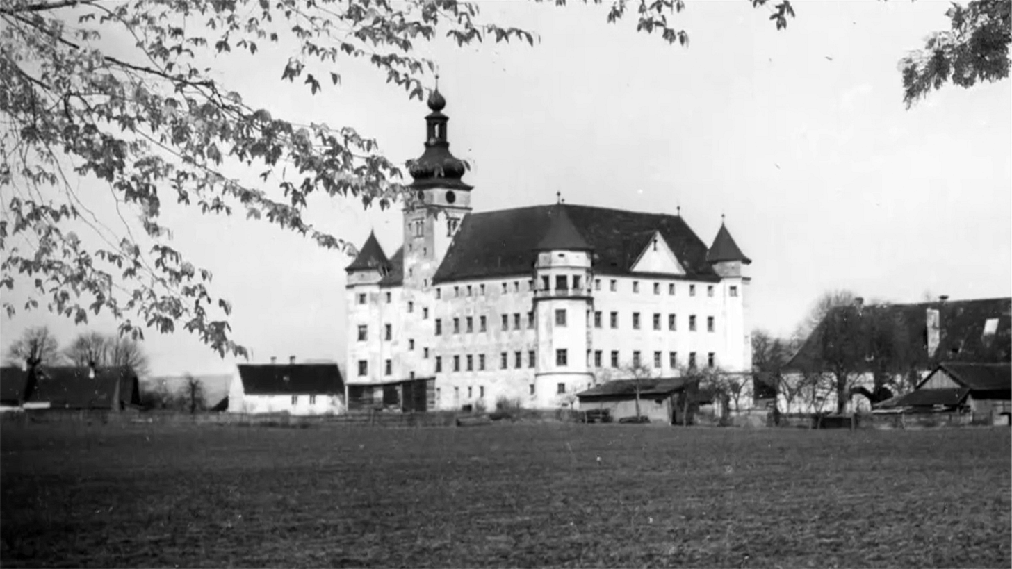 Hartheim: The Nazi Castle of Horror - Watch Movies & TV Shows | Microsoft  Store
