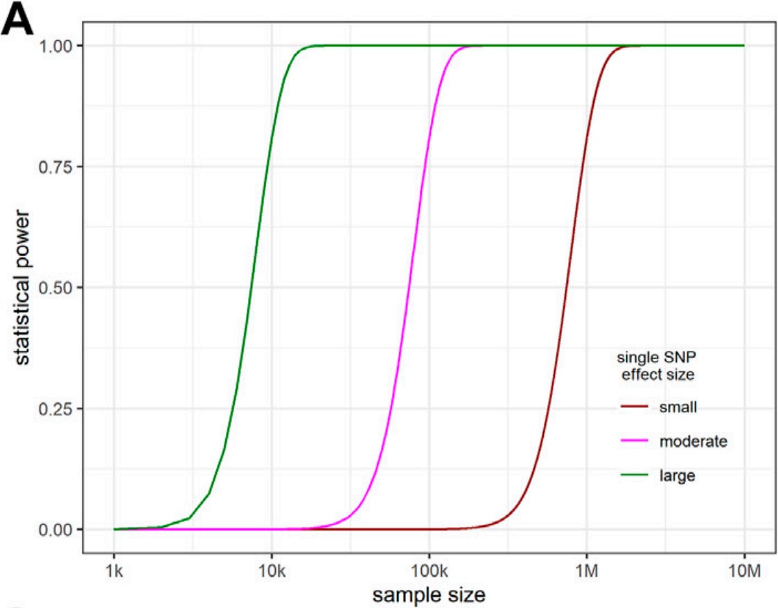 Twin Studies and the Heritability of IQ - Aporia