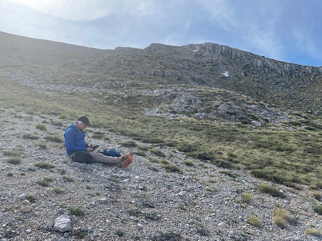 Greece, land of spiky plants. Every single green bit there will stick in your feet.