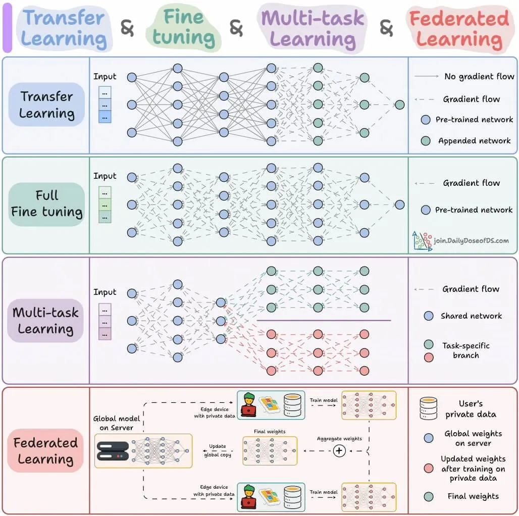 Transfer Learning, Fine-tuning, Multi-task Learning and Federated Learning