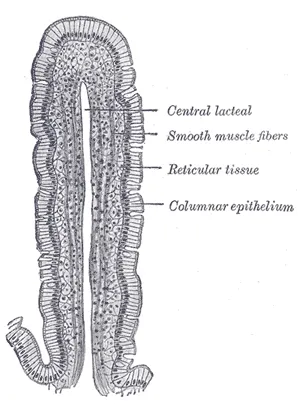 Post image 7