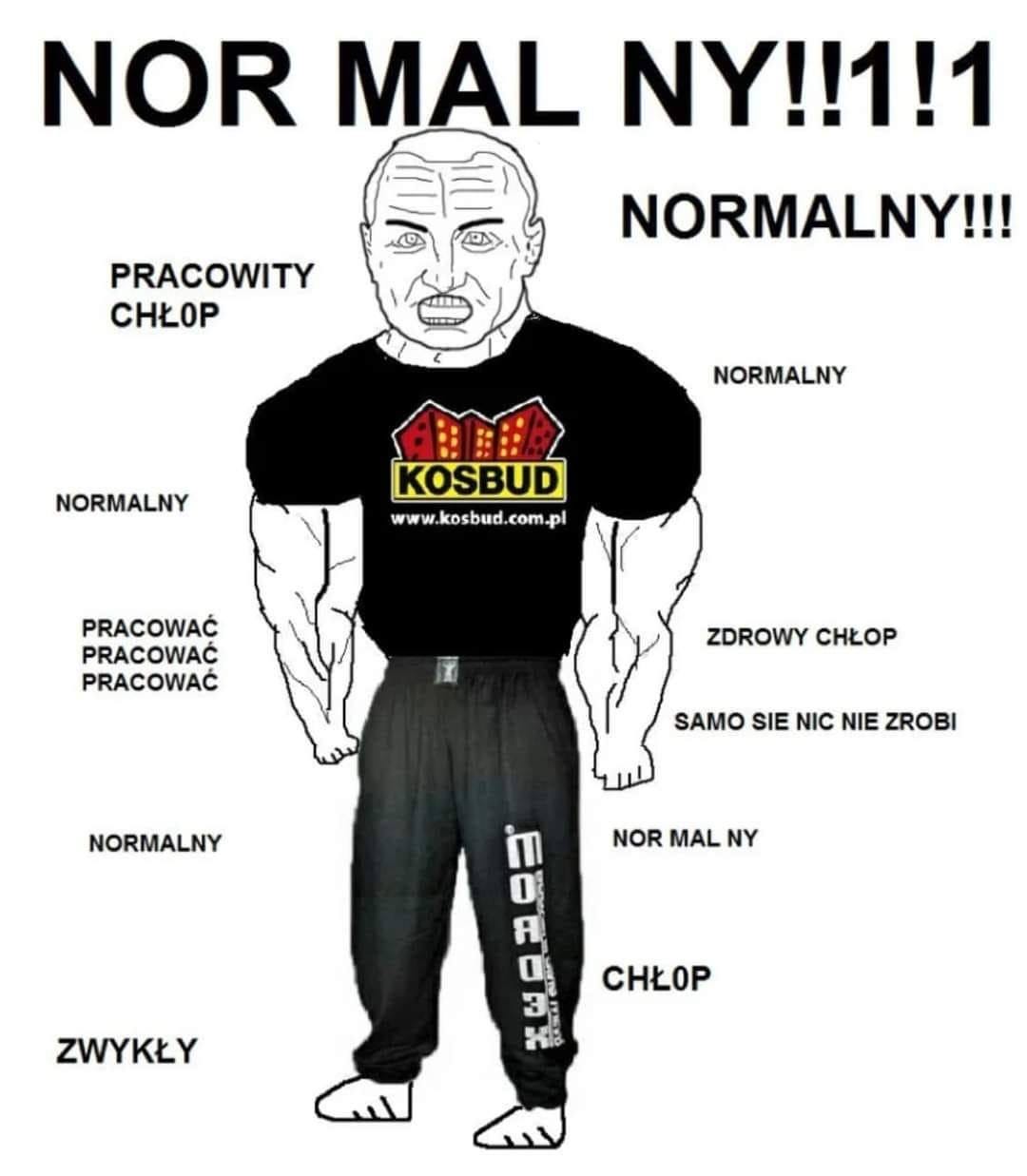 Może być grafiką przedstawiającą 1 osoba i tekst „NOR MAL NY!!1!1 PRACOWITY CHŁOP NORMALNY!!! NORMALNY NORMALNY KOSBUD www.kosbud.com.pl com. ww kosbud. PRACOWAĆ PRACOWAĆ PRACOWAĆ ZDROWY CHŁOP SAMO SIE NIC NIE ZROBI NORMALNY 三 0 NOR MAL NY R 0 CHŁOP 3 2 ZWYKŁY”