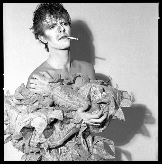 =bowie