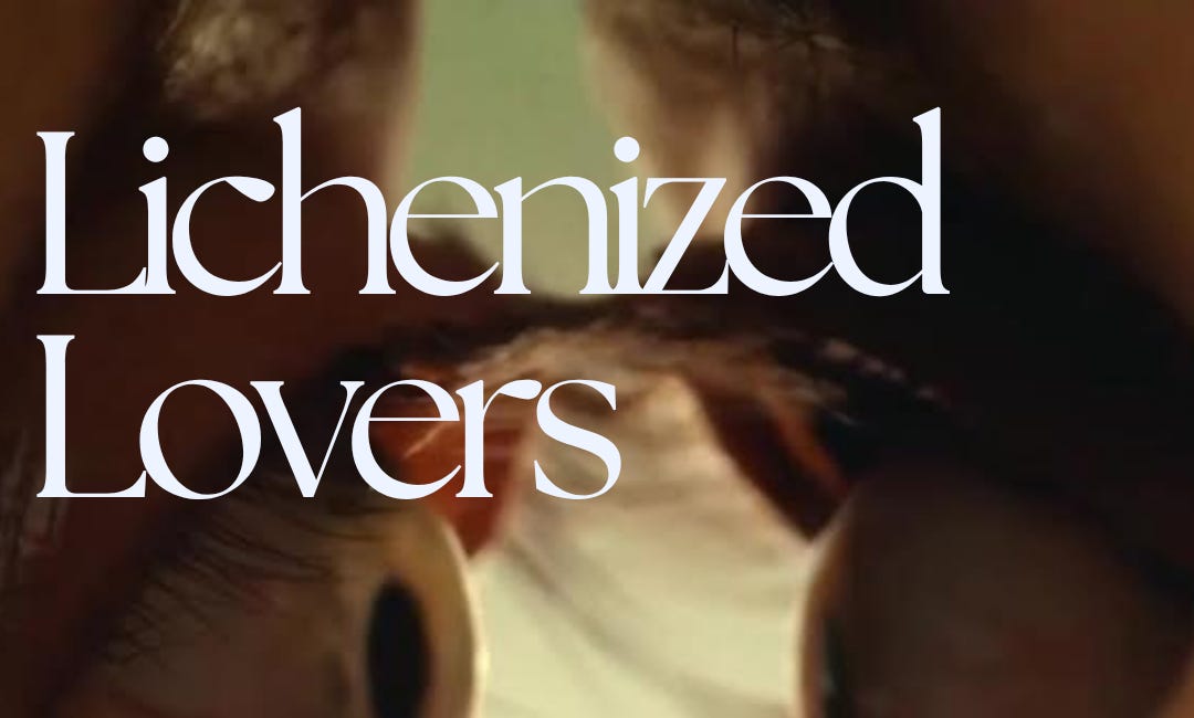 Lichenized Lovers: Symbiosis In Together and Tristan & Isolde