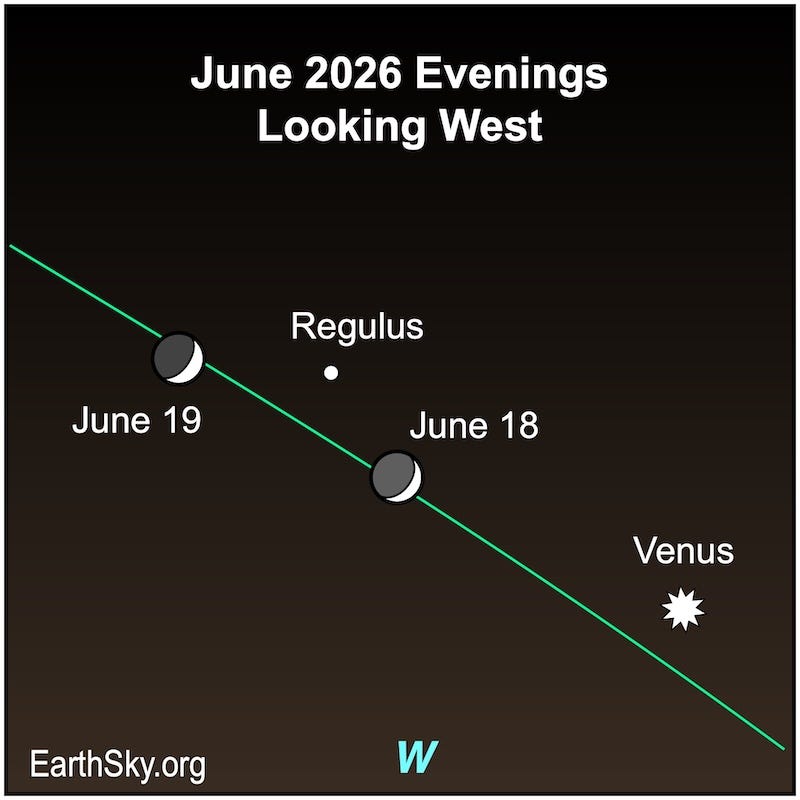 Sky chart: 2 positions of the crescent moon near star Regulus, with Venus below, along the slanted ecliptic line. Sky chart: 2 positions of the crescent moon near star Regulus, with Venus below, along the slanted ecliptic line.