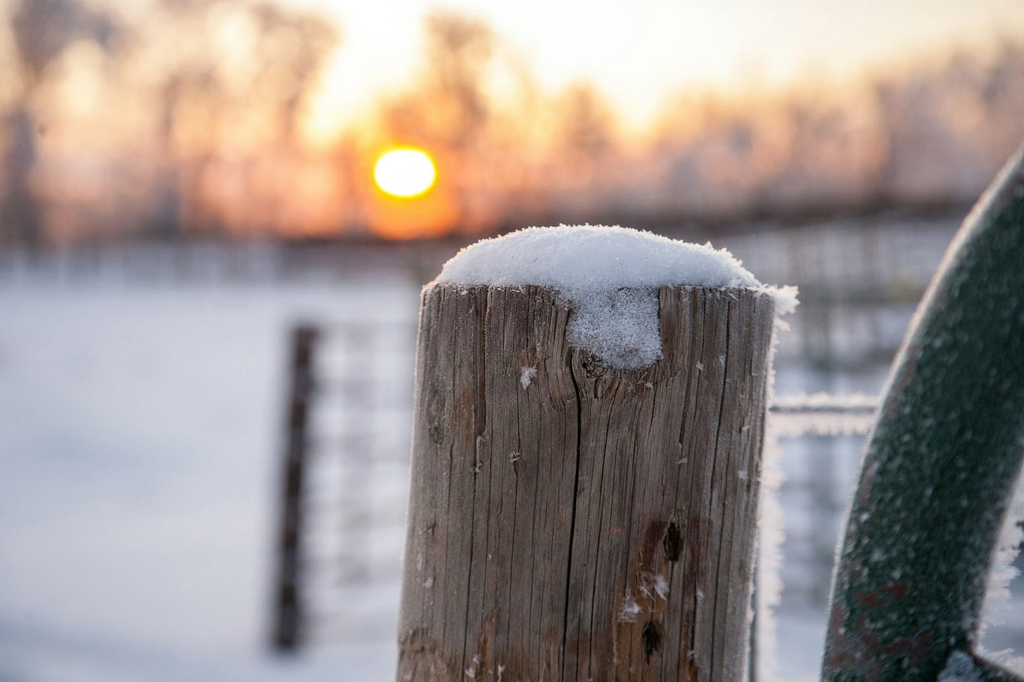 Federal Overreach and Food Sovereignty: How a 75-Year-Old Fence Could Send Ranchers to Prison
