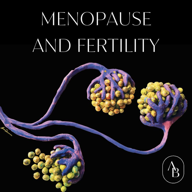 Cover Image for Menopause and Fertility Broadcast