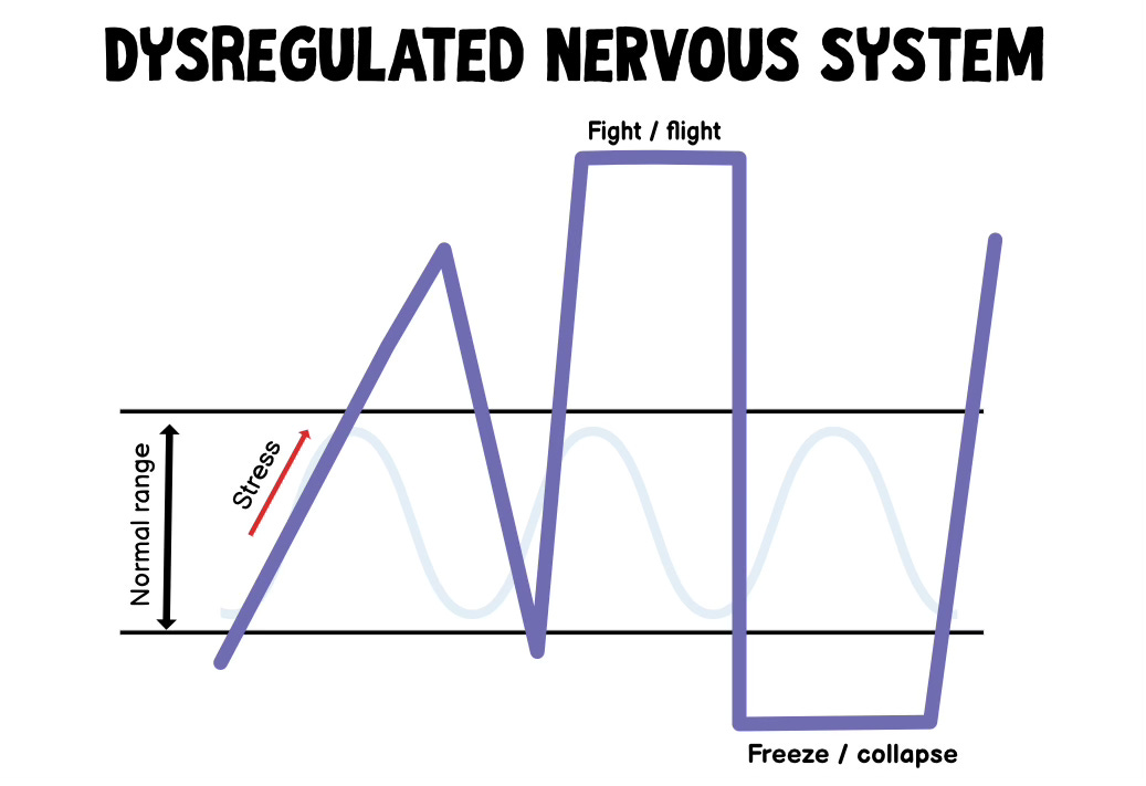 Dysregulated nervous system means you are often stuck out of the normal range in fight/flight or freeze/collapse