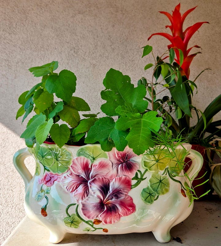 a flowerpot and an old cooper stamp