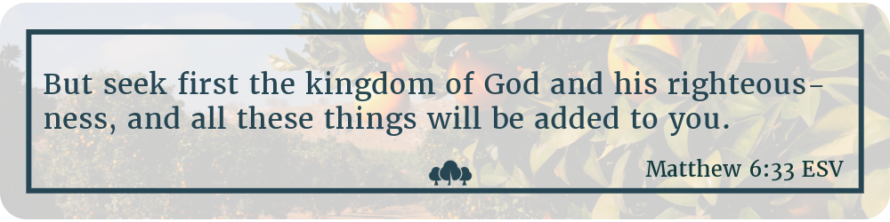 Matthew 6:33 Matthew 6:33