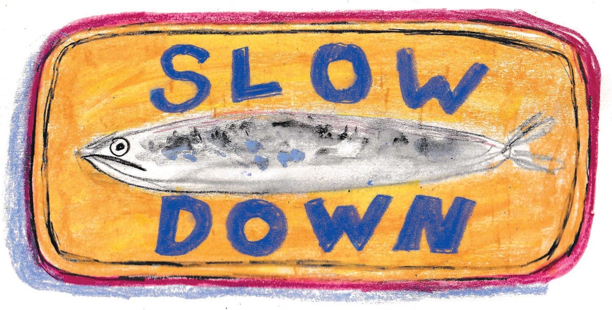 slow down sardines slow down sardines