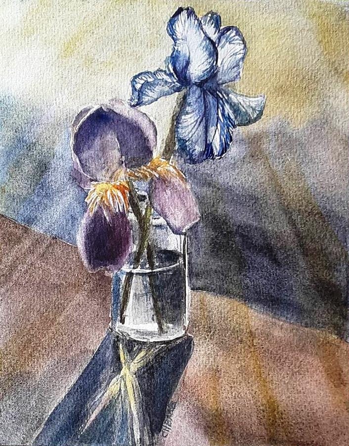 four images of irises, purples and yellows