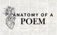 Anatomy of a Poem