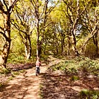 Listening to the Belly, Not the Brain: Supporting My Sacral Child After a Tough Moment