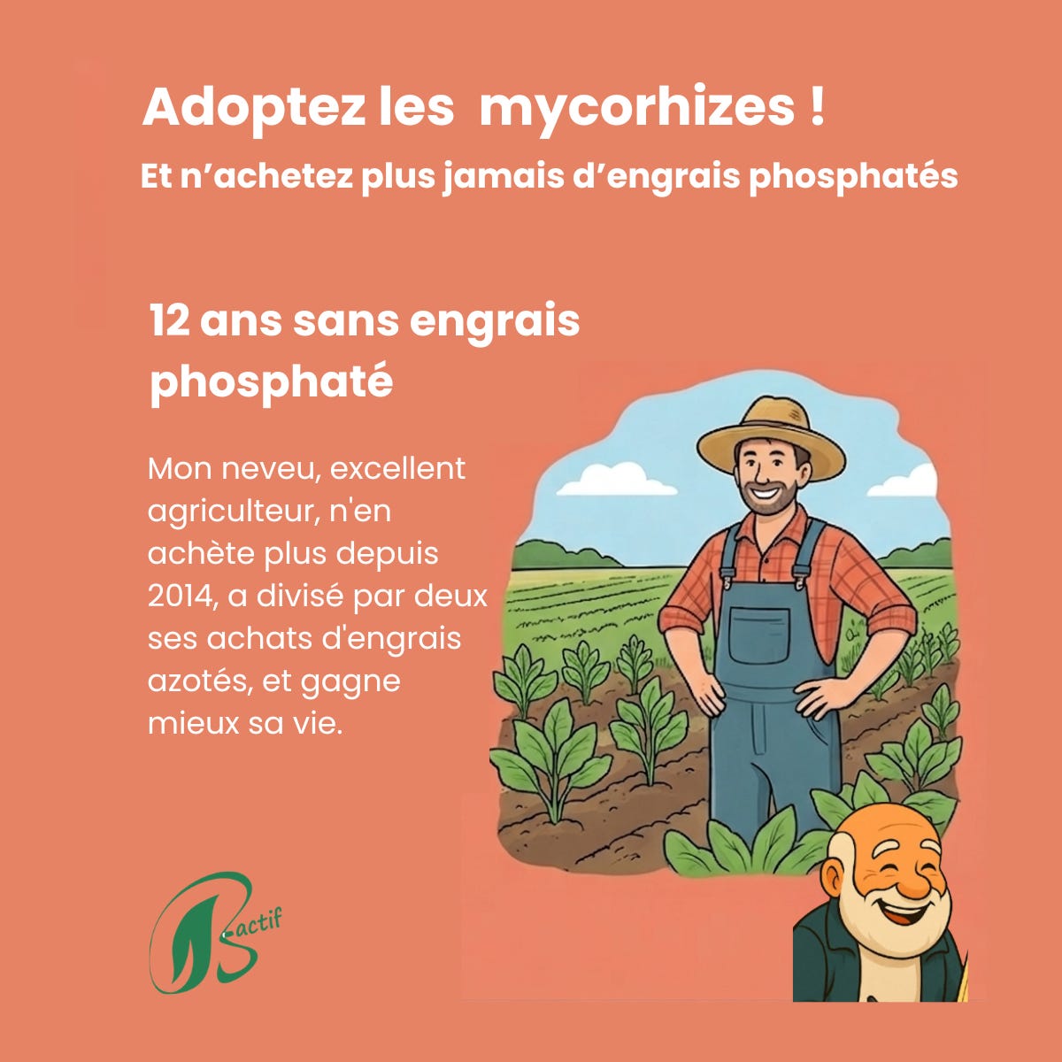 Mycorhizes au potager sans engrais phosphatés