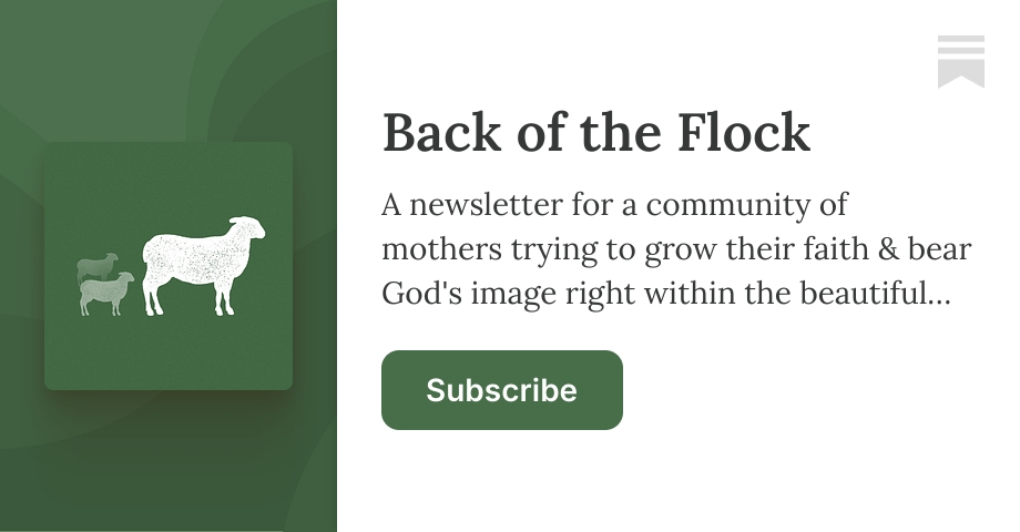 Back of the Flock | Elizabeth Berget | Substack