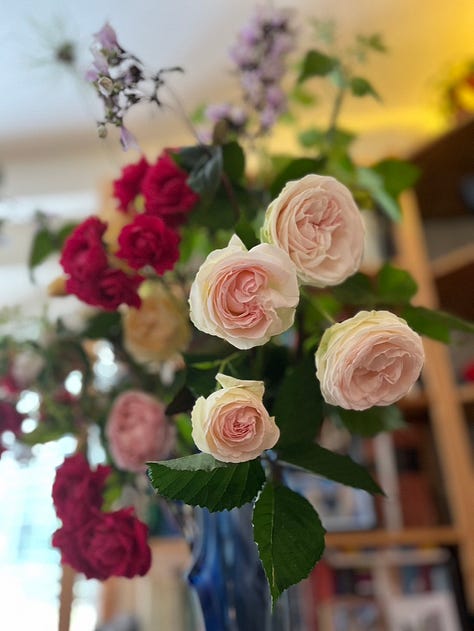Westerland with unknown red rose from neighbor, Boscobel, Eden (2x), Dr. Huey with Jackmanii and honeysuckle, a rose arrangement