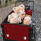 SEVEN DAYS. Tabs, Tues., Oct. 29, 2004