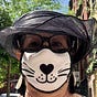 Amye Gumbinner's avatar