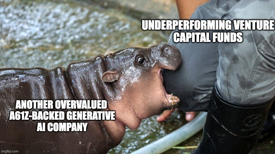 The Dark Reason Venture Capitalists Love Moo Deng | by Andrew Chan | Medium