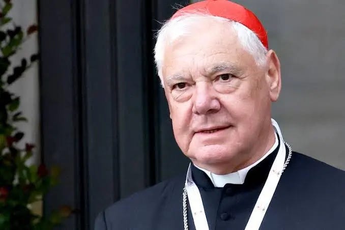 Cardinal Müller Rebukes Belgian Mayor, Says Politics Is About ‘Dignity of Man in the Image of God’ Cardinal Müller Rebukes Belgian Mayor, Says Politics Is About ‘Dignity of Man in the Image of God’