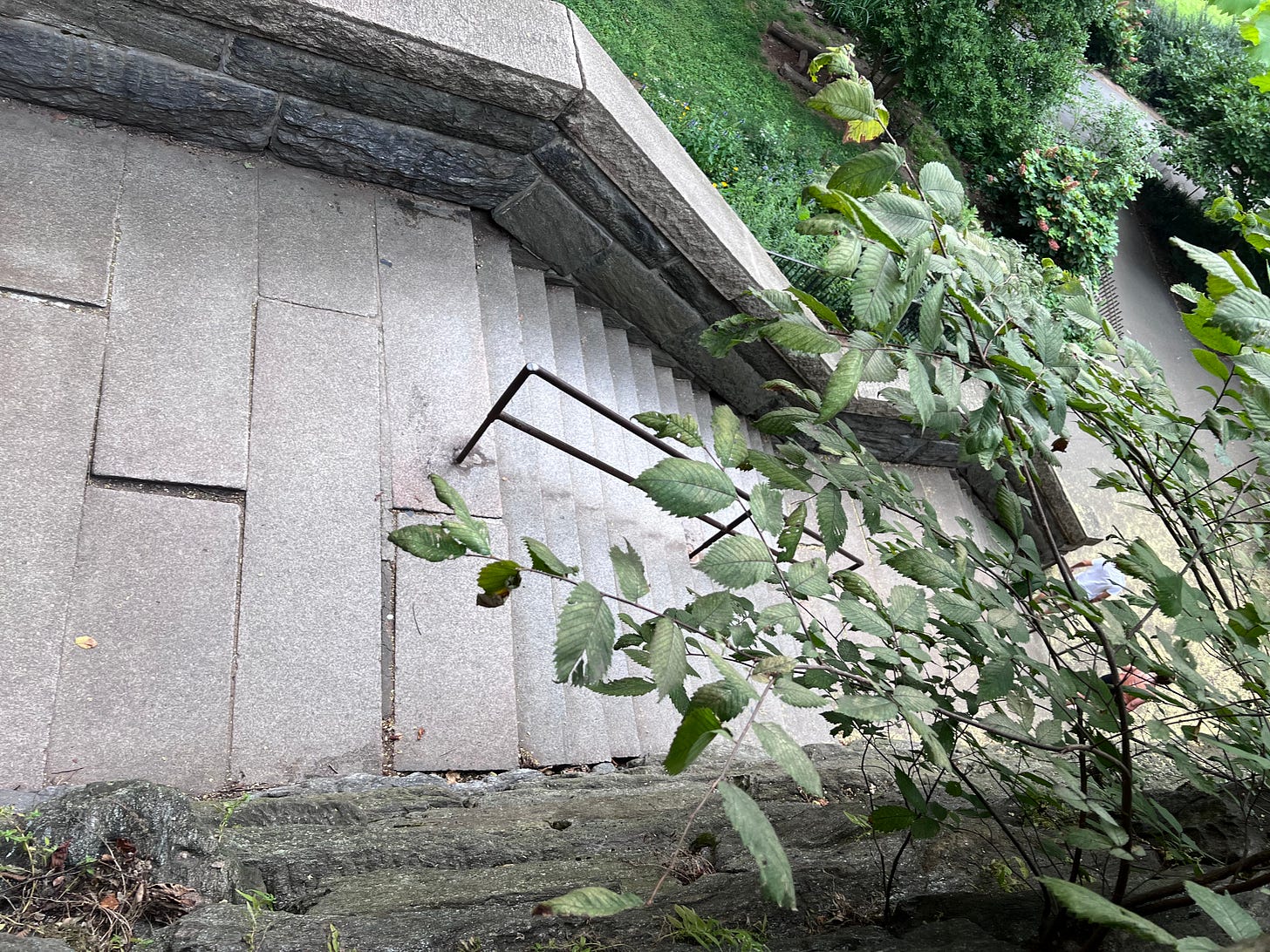 A steep stone staircase surrounded by greenery.