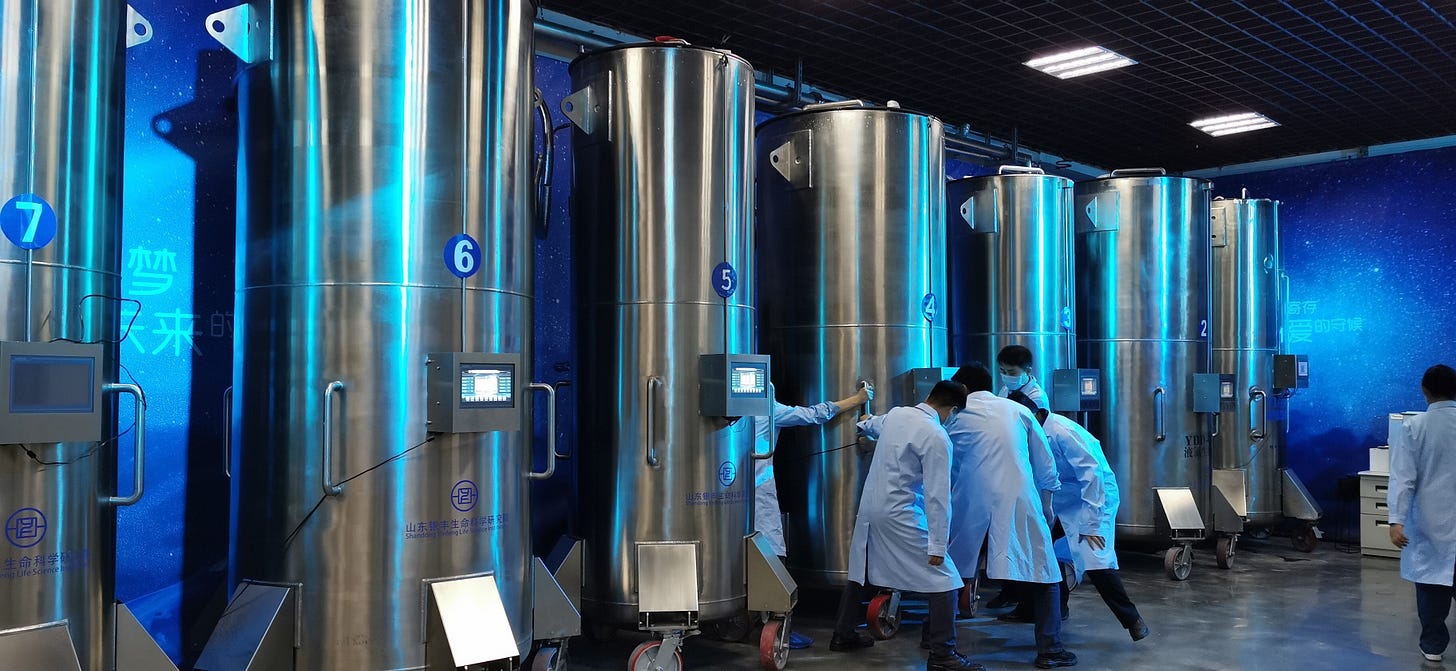 Freezing bodies for 'reanimation' in China and why the country's cryonics  tech has the potential to leapfrog the West | South China Morning Post