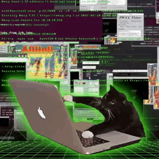 a black cat is sitting in front of an apple laptop computer