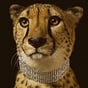 Lindsay S's avatar
