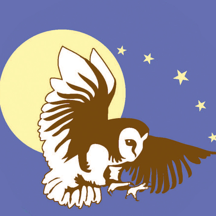 Wings by Beth Owl's Daughter