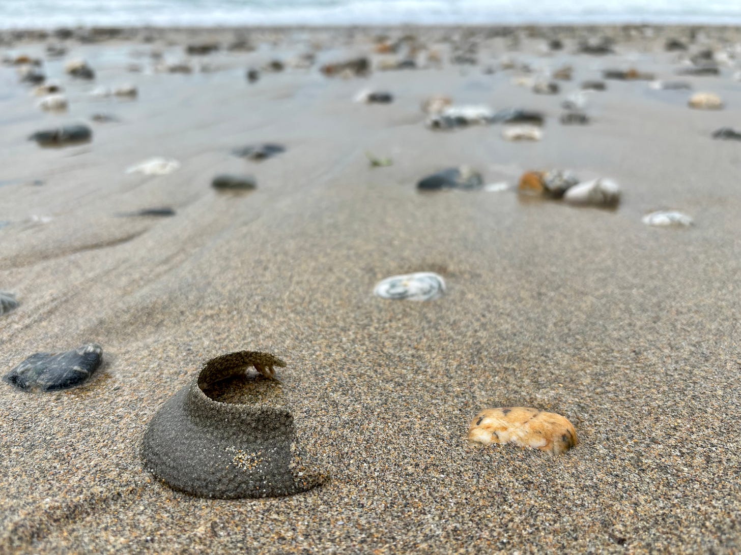 A colour photograph from ground level looking across a sandy, pebble-strewn beach towards the sea. In the foreground is a raised half-ring of a rubbery substance, grey and covered with pimples.