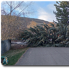 A Footnote to AI's Achilles Heel*