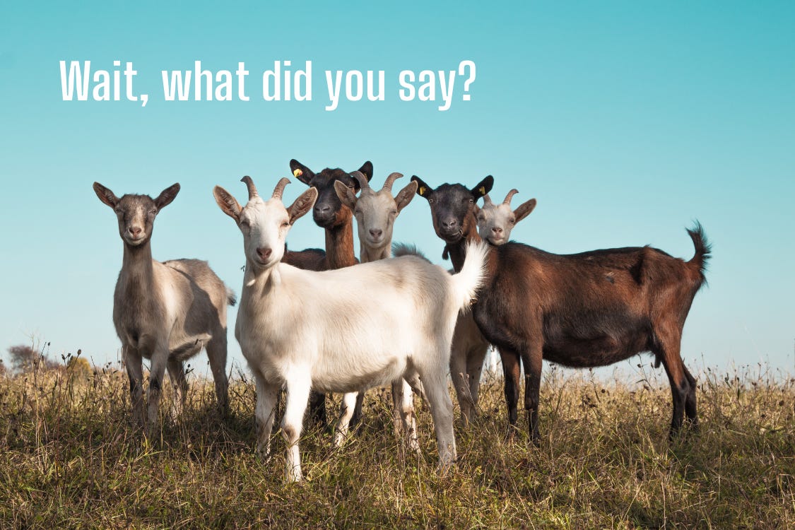 Deranged Robotic Goats, No-Code Meets AI, and a Studio Info Session Deranged Robotic Goats, No-Code Meets AI, and a Studio Info Session