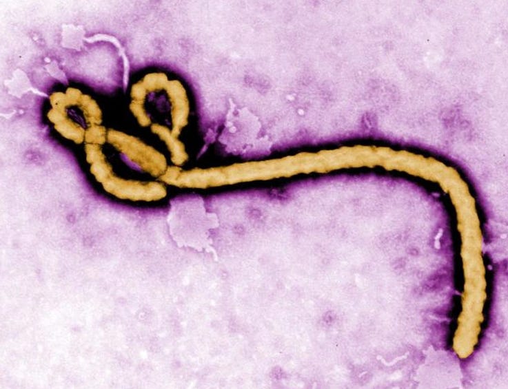 Ebola epidemic update - Cases and deaths